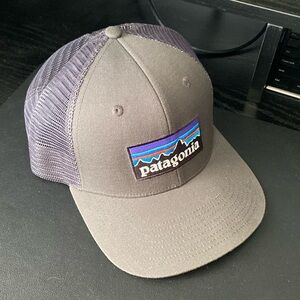 Patagonia Trucker Hat